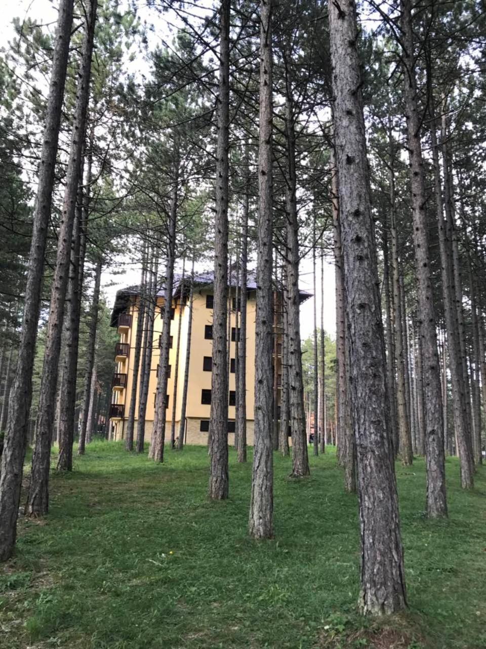 Zlatibor Apartmani Jakovljevic Extérieur photo